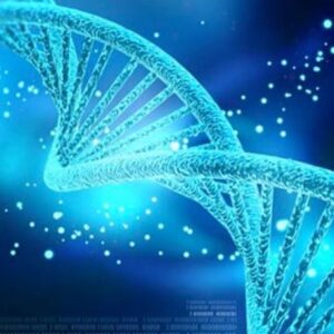 Bacterial Reverse Mutation Assay (OECD 471)