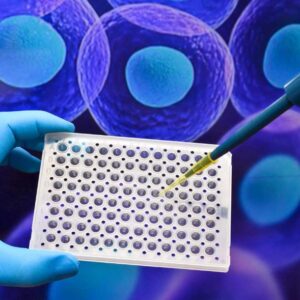 In Vitro Mammalian Chromosomal Aberration Test (OECD 473)